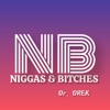 N****s & Bitches NB - Single