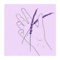 August 6th (feat. Impossibear) - Single - Fourth Dogma