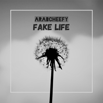Fake Life - Single