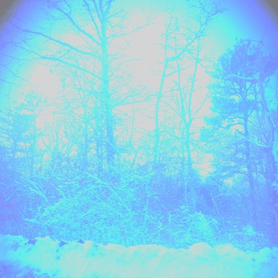 Mansion House - Shindler's Shore