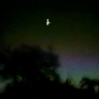 Targeted Individual - Single - trees & Reptilian God Mana