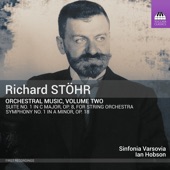 Stöhr: Orchestral Music, Vol. 2 artwork