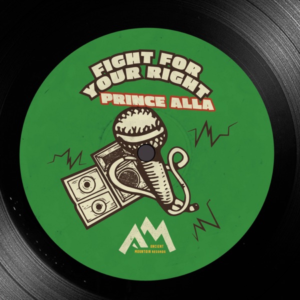 Fight For Your Right - Single