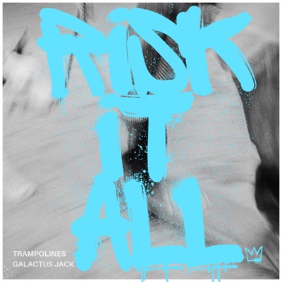 Risk It All - Single