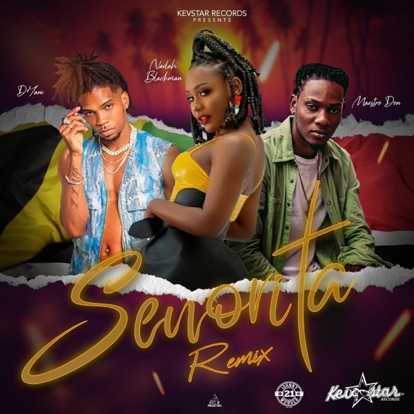 Senorita (Remix) - Single
