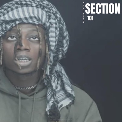 Section 101 - Single