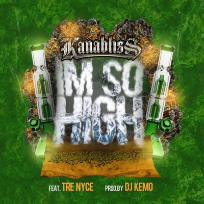 Im So High (feat. Tre Nyce & Djkemo) - Single