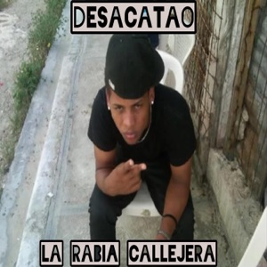 DESACATAO