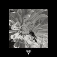 Honey Honey - Single - Glou