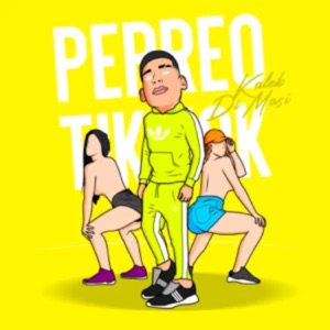 Perreo Tik Tok