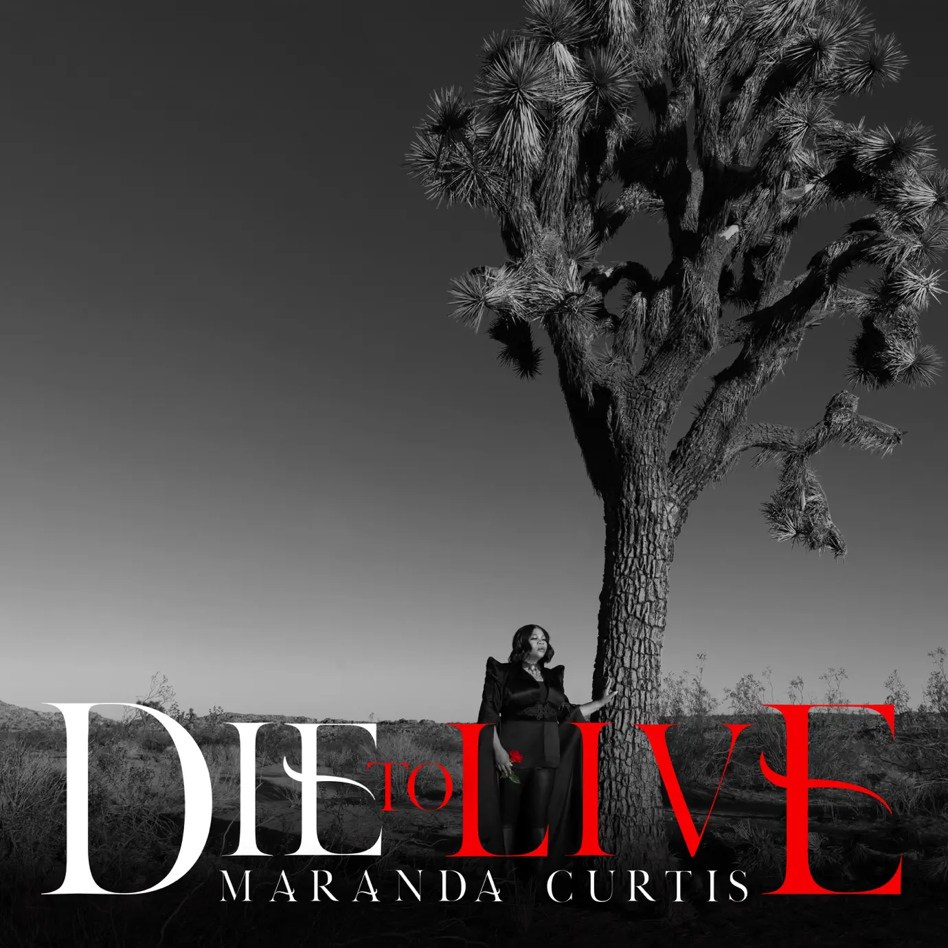 Maranda Curtis - Songs, Concert tickets & Videos