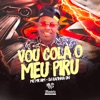 Vou Cola o Meu Piru (feat. Mc Mr. Bim) - Single