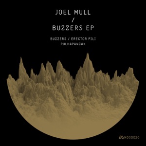 Buzzers - Single