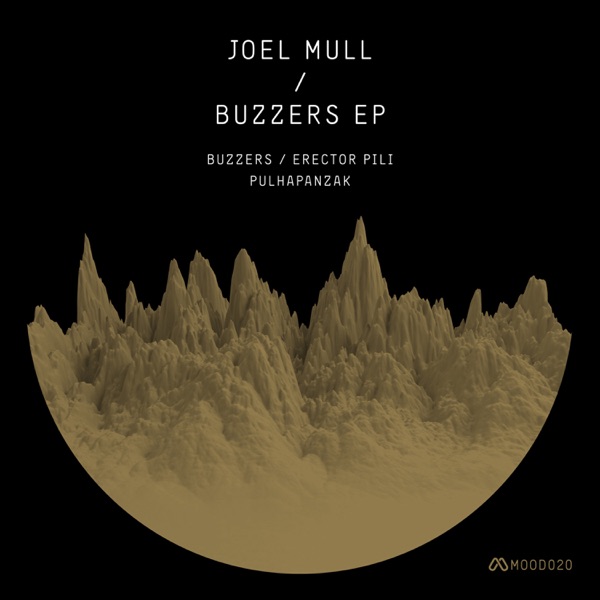 Buzzers - Single