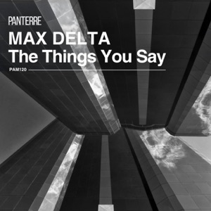 The Things You Say - Single