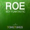 Roe - Boy Funktastic lyrics