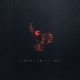 Бегу к тебе ANIVAR