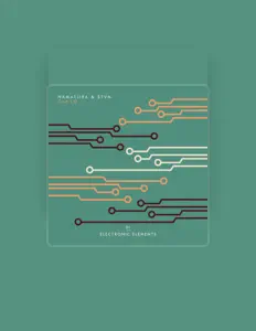 聆聽 Stvn、觀看音樂影片、閱讀小傳、查看巡演日期等！