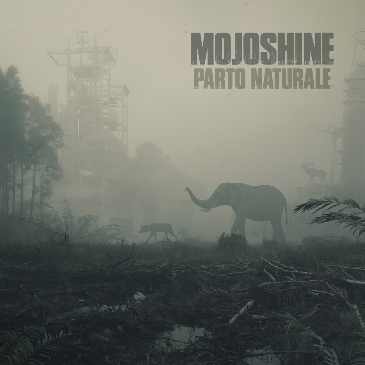 Parto Naturale - EP - Album di Mojoshine - Apple Music