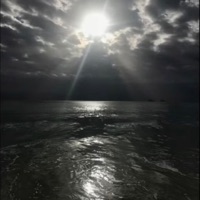 Vision (feat. ilycrisis) - Single - $insNightmare