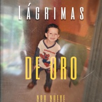 Lágrimas De Oro - Single - Nou Nueve