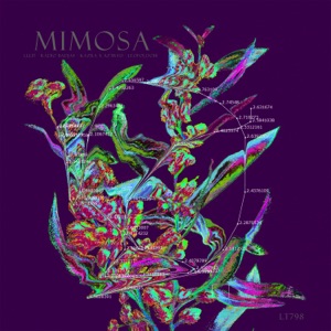 Mimosa - EP