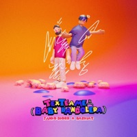 TEXTEAME =( - Single - Janko Diorr & Baskiat