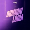 Criminolodia (feat. DJ BR4) - Single