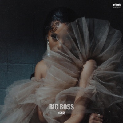 Big Boss - Single
