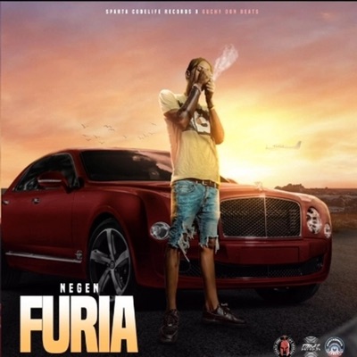 Furia - Single