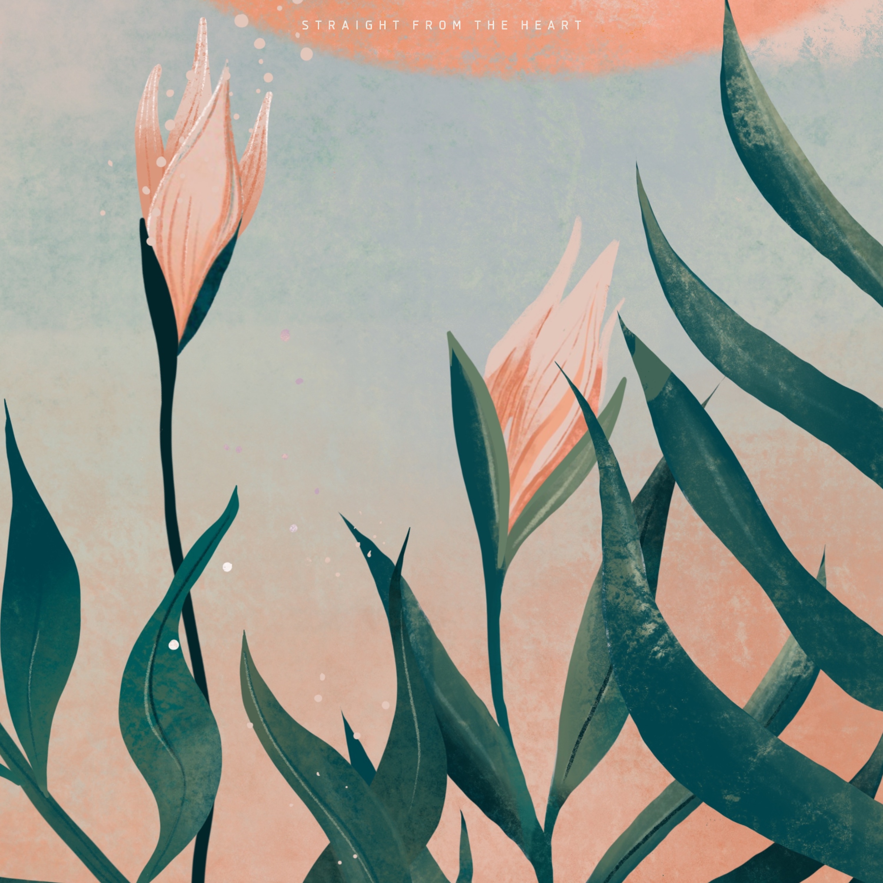 Straight from the Heart - Single