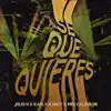 Stream & download Sé Que Quieres - Single