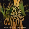 Sé Que Quieres - Single