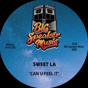 Can U Feel It - Single