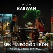 Sen na pogodne dni - z filmu „Skołowani” artwork