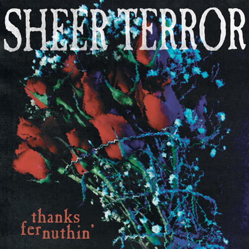 洋楽 SHEER TERROR SHEER TERROR 洋楽