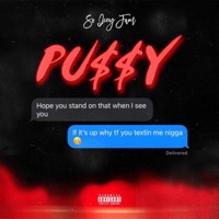 Pu$$Y - Single - So Icey Fam