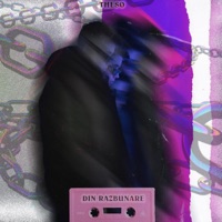 Din Razbunare - Single - Theso