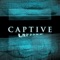 Captive artwork