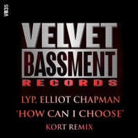 How Can I Choose (feat. Elliot Chapman) - Single - LYP