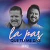 La Paz Que Tu Me Das - Single