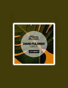 收听 David Fuldner、观看音乐视频、阅读小传、查看巡演日期等 ！