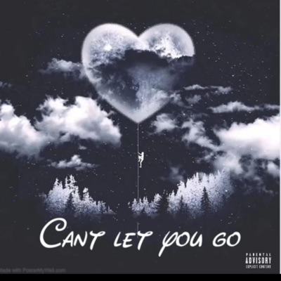 Cant Let You Go (feat. Mcn Nick) - Single