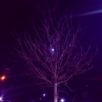 Shit Happens. - Lando Senju