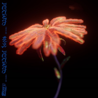 花火 - Single