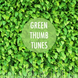 Green Noise Induction (Loopable, No Fade)