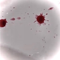 To the End - Single - favor