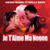 Je t'aime ma nogon (feat. Wally B. Seck) - Single