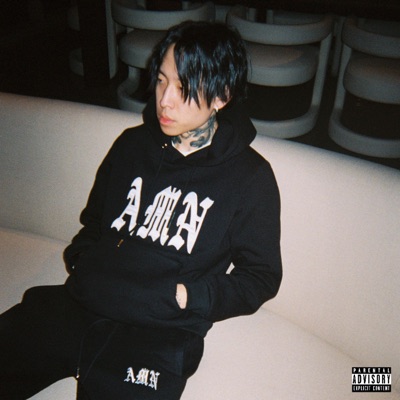 Black Ice - Single