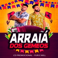 Arraiá dos Gemeos - Single - Yuri e Will